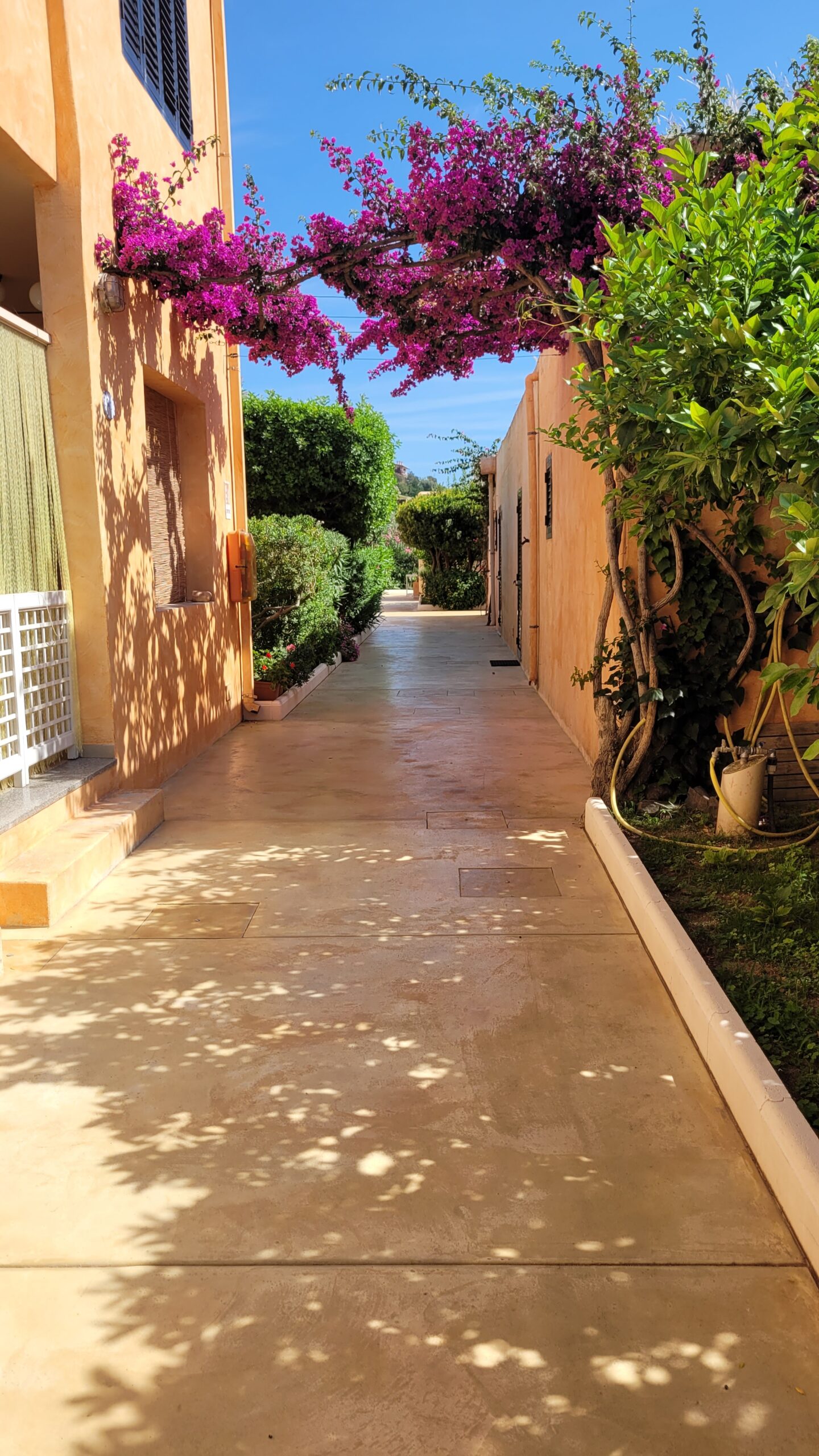Un vialetto del residence tra fiori e abitazioni