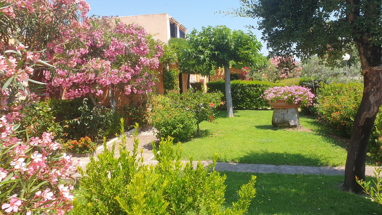 Giardini e fiori tra gli appartamenti del residence